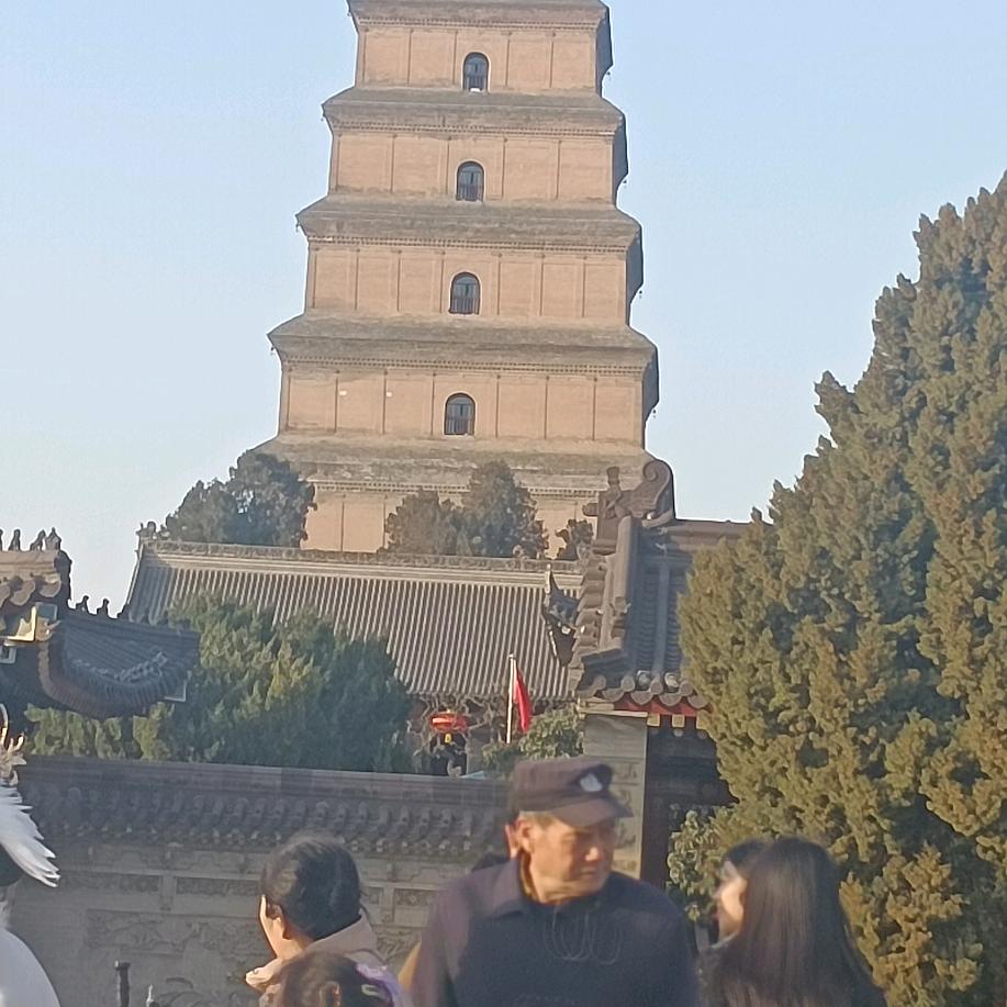 真诚