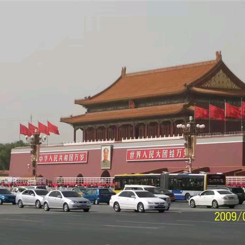 龙🐉飞🐉唐