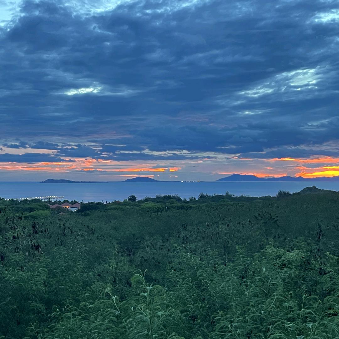 🌺明媚如初🌺