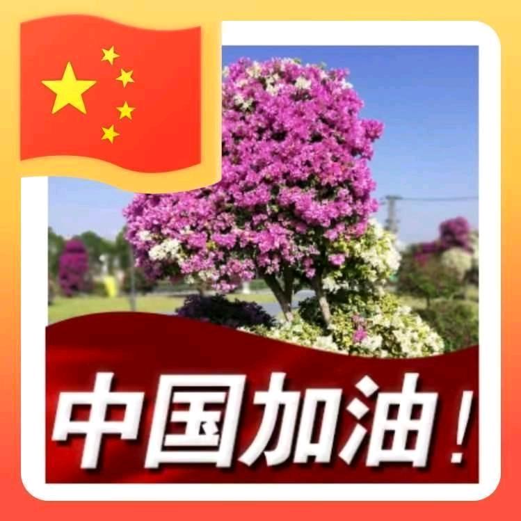 你是说现