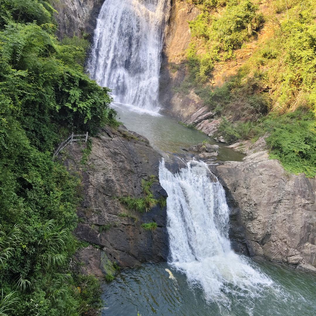 总有刁民想害朕