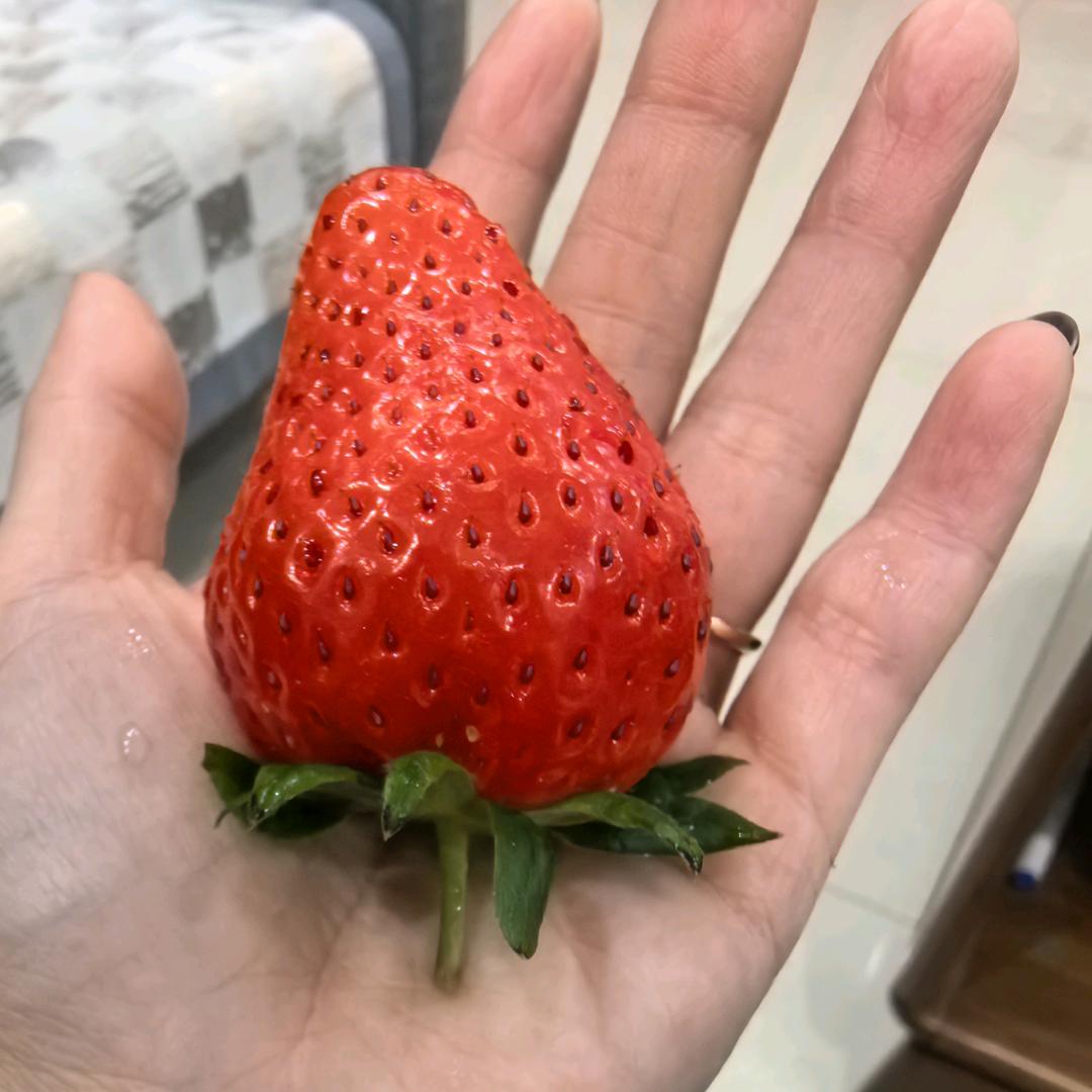 十月