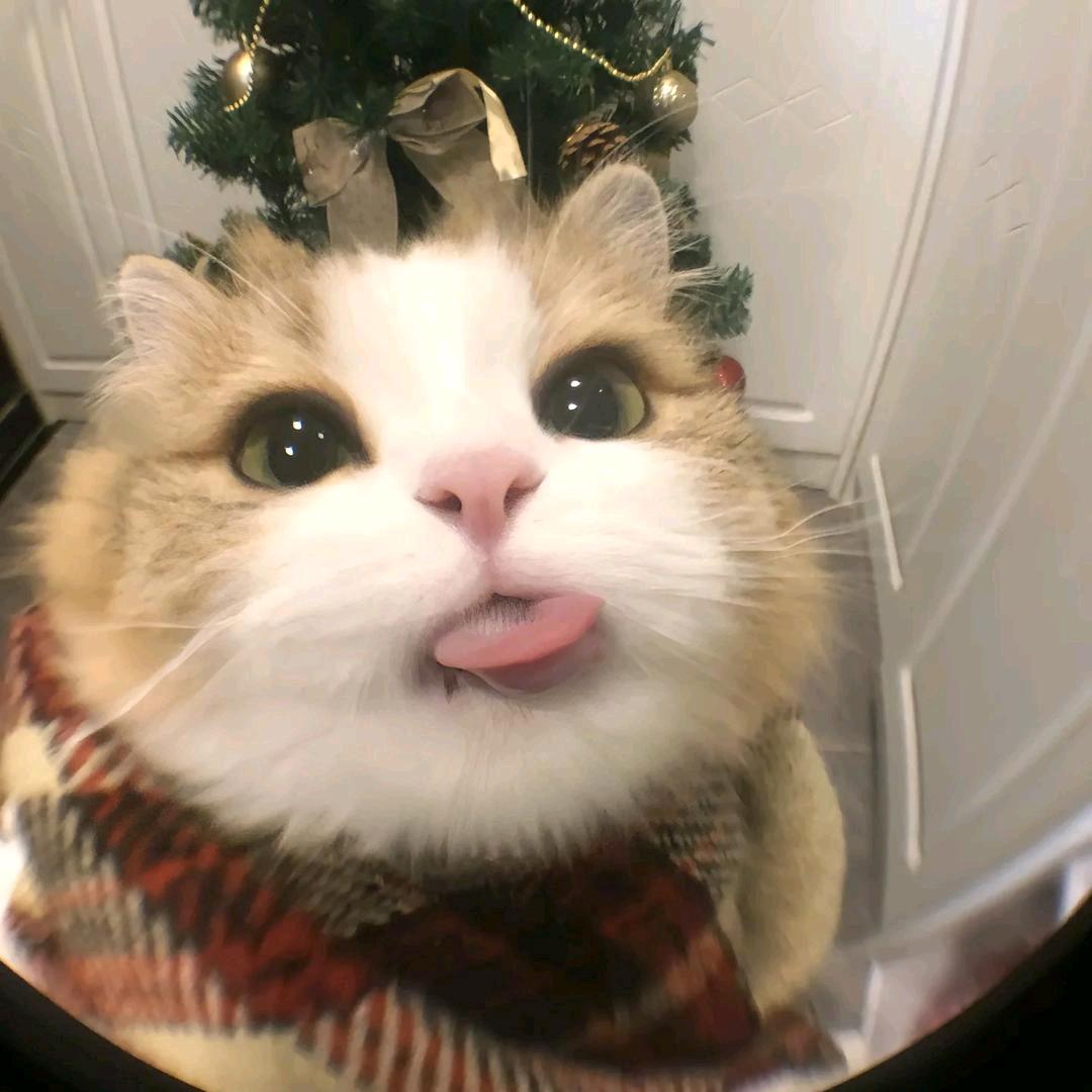 玩原神玩的半身不遂