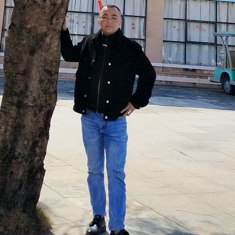 爱不需要理由