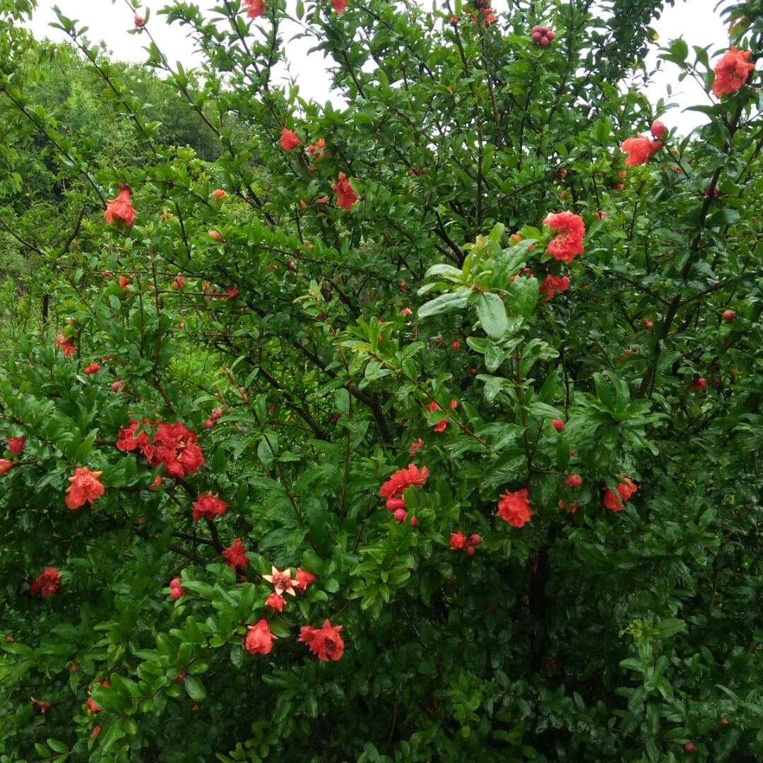 我的缘分会是你吗？