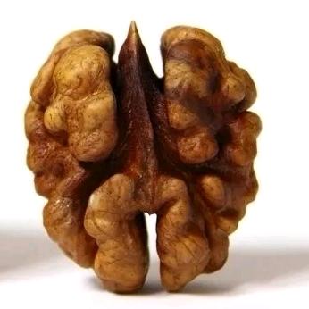 忆禅缘