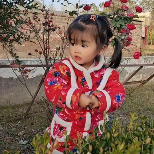 知足常乐2044741232370