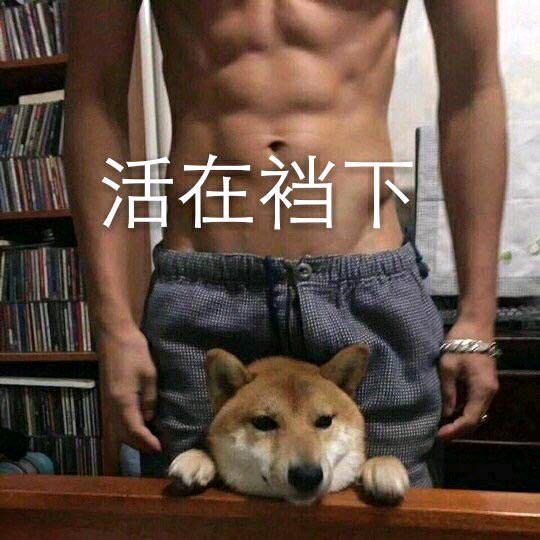 泡泡龙🐉