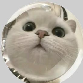 游了个泳