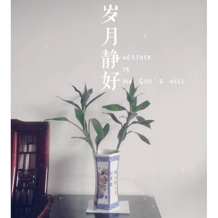 伟伍