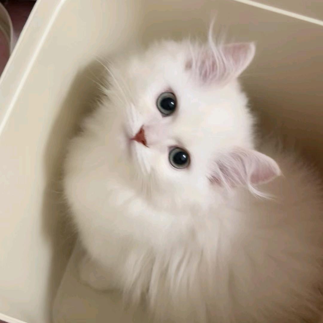 晚风心里吹