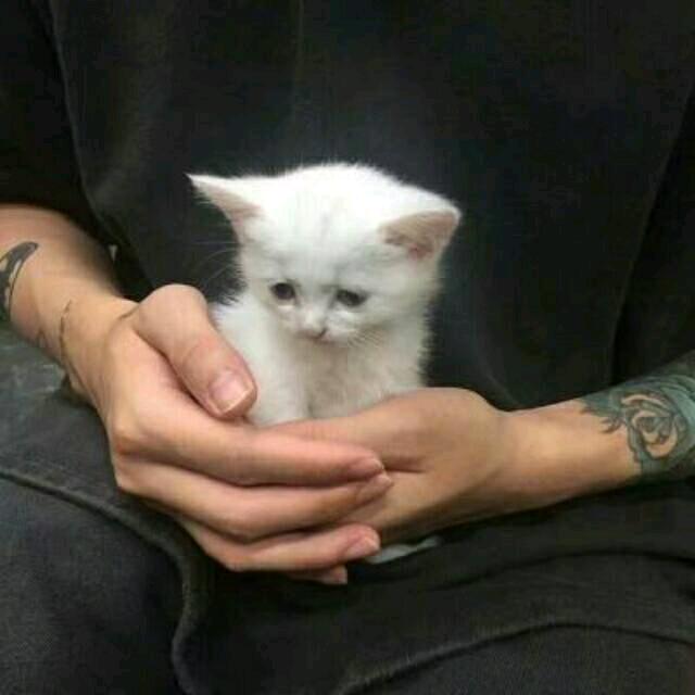 偷偷