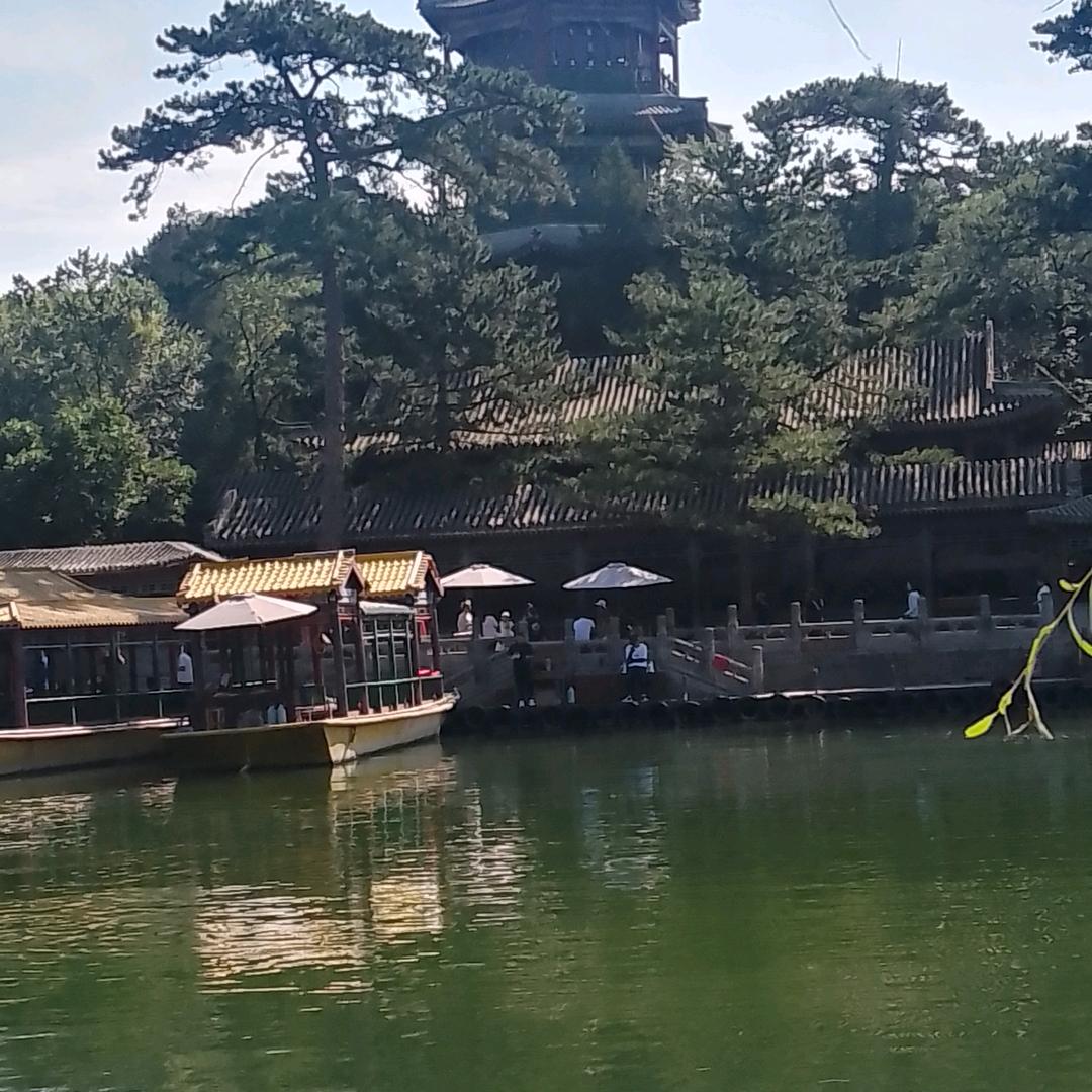 用户6234997215935金色花龙