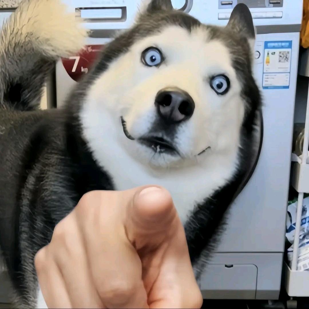 凯楠人力工作室