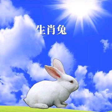 迟暮年华