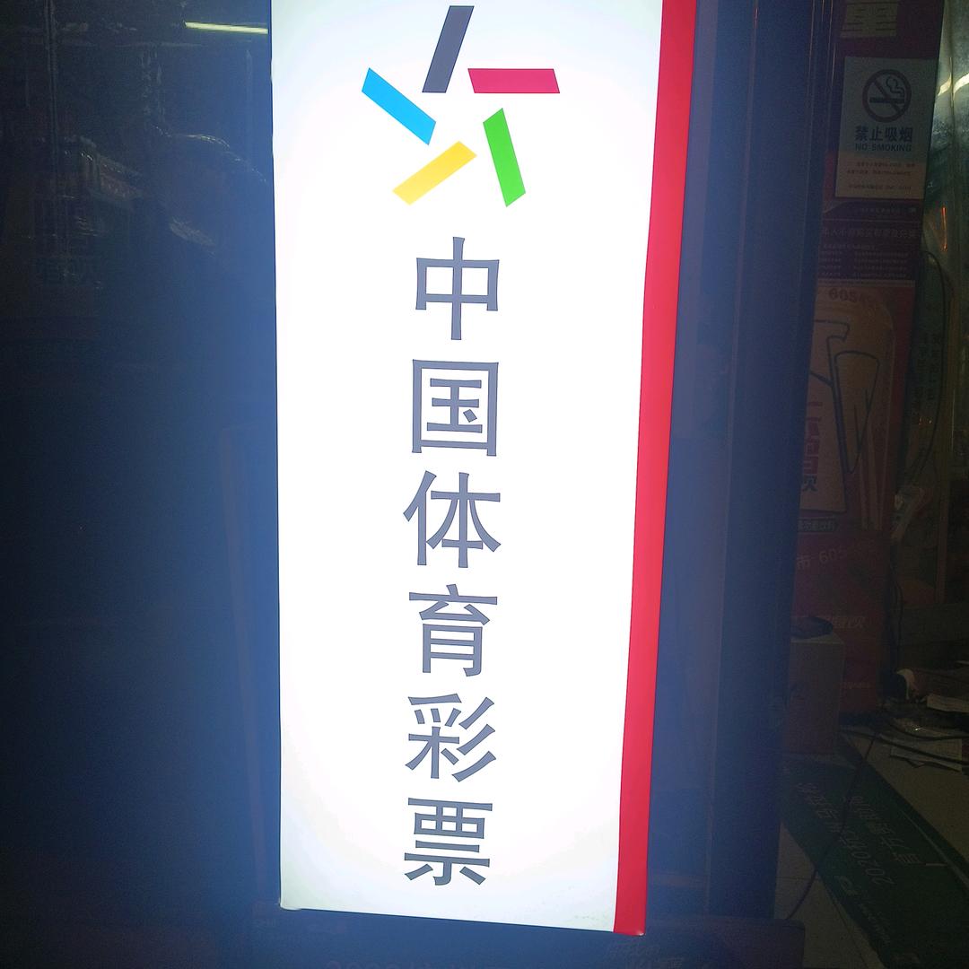 腾飞的馬