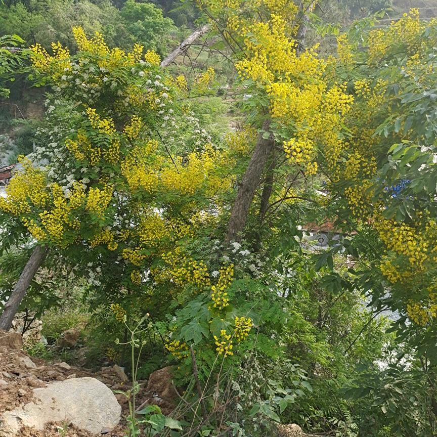 顺其自然