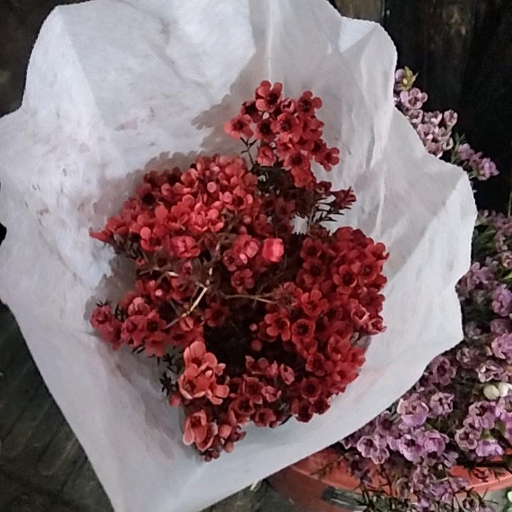 漯河临期奶销售胖姐