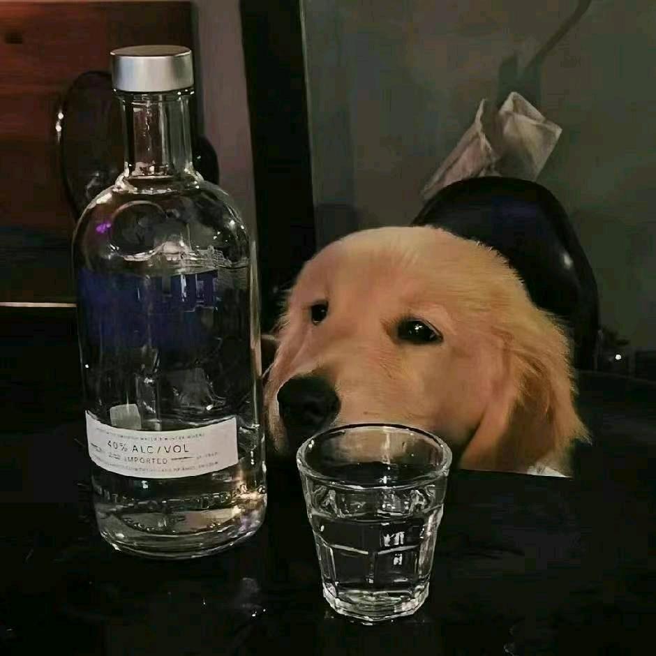 K同学的装修日记