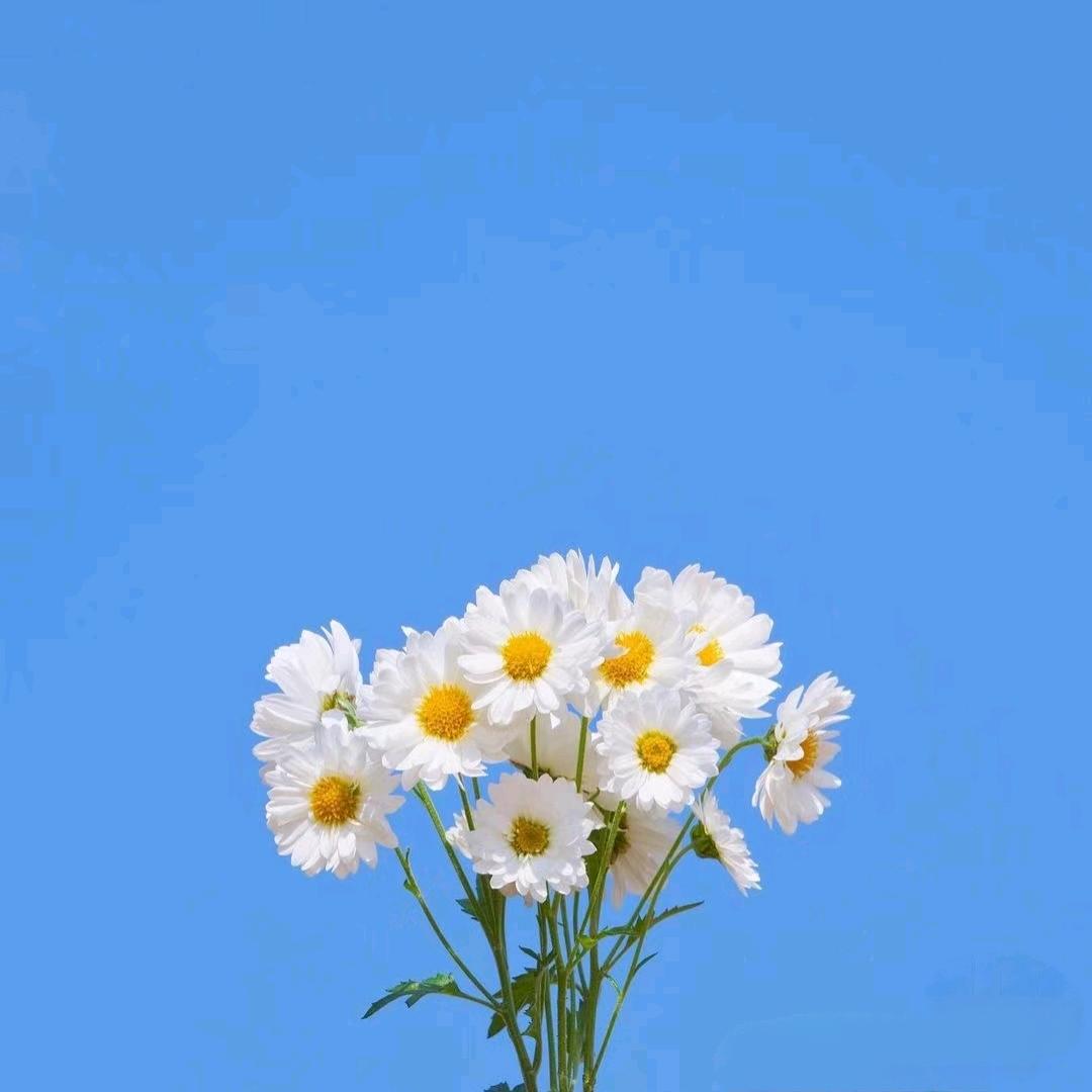 不讲道李