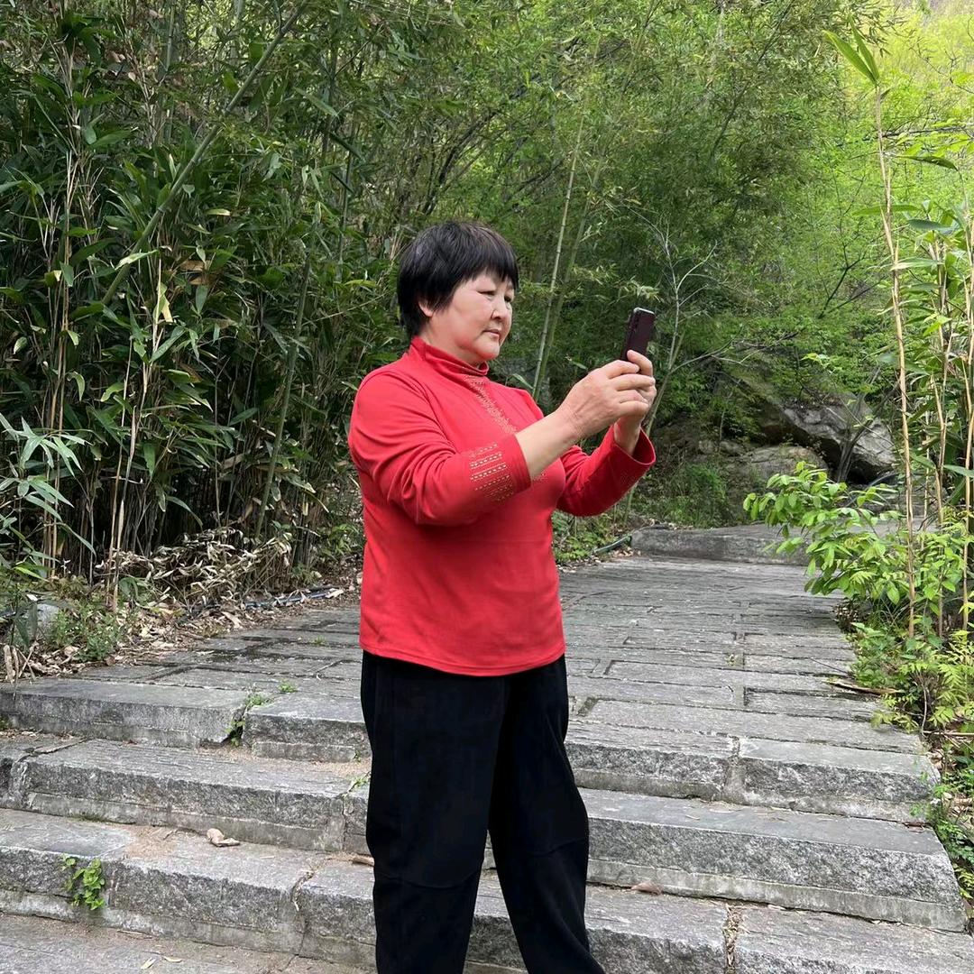 刘书梅