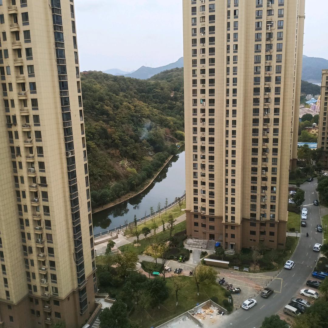 波波1957