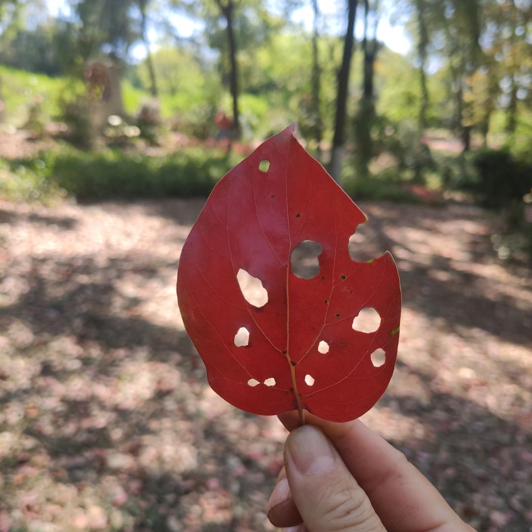 印象天台民宿天台山半山腰店