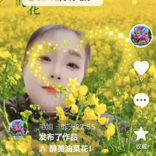 毛姐