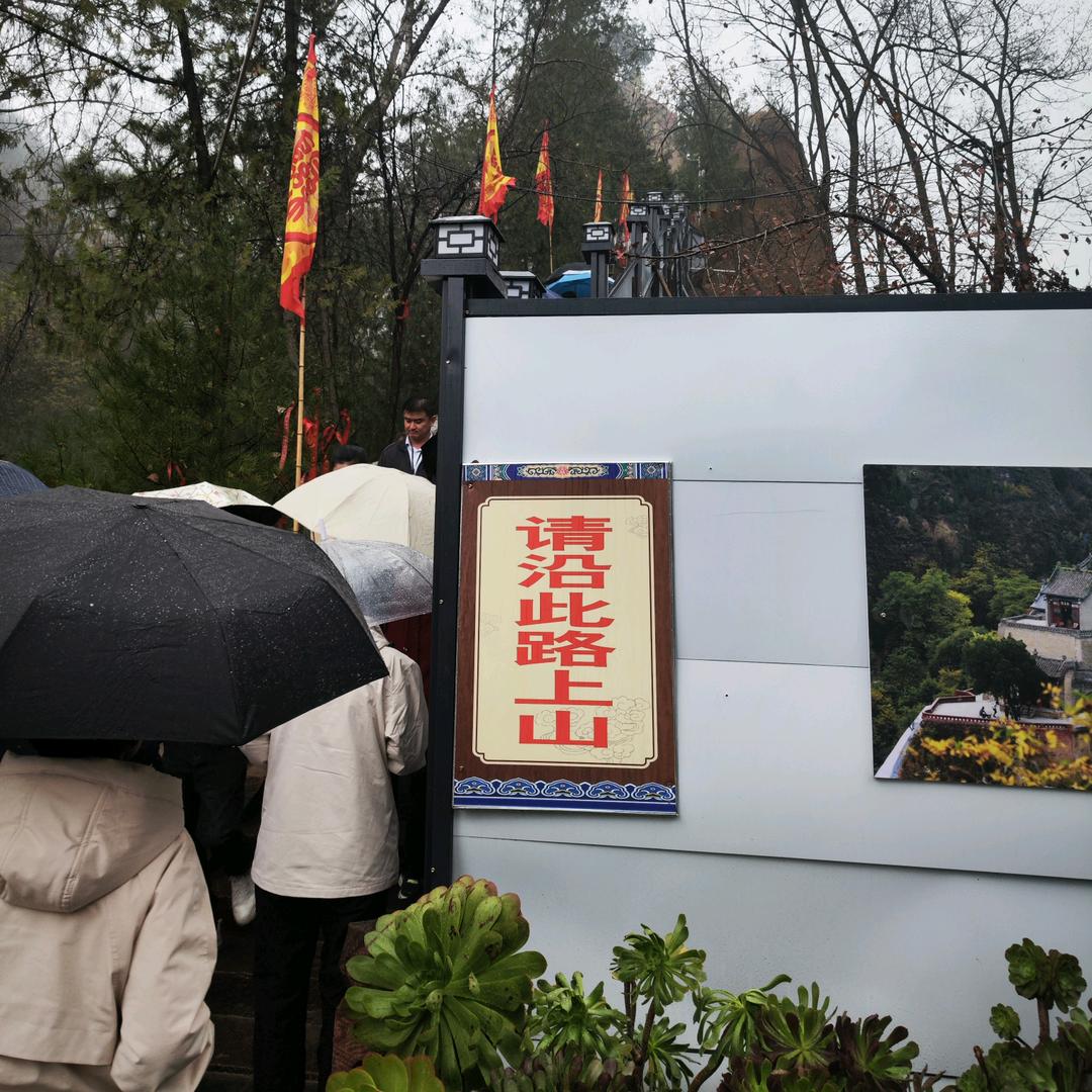 WO嘞达錘錘