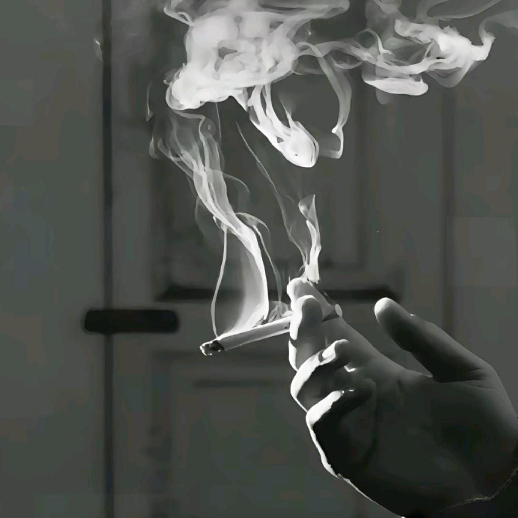 晓柒品质严选铺