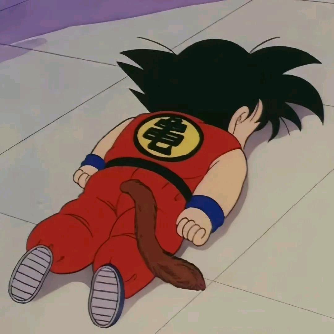 瘸子的第3️⃣条🦵