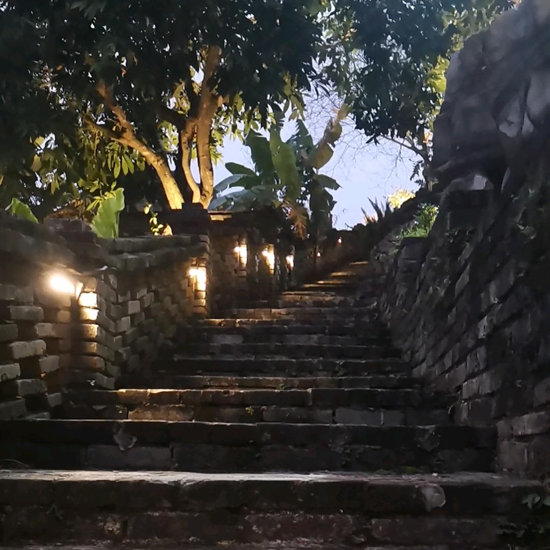刘大明白