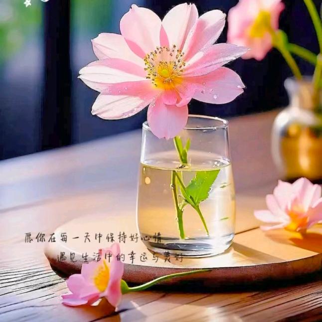 越来越好2