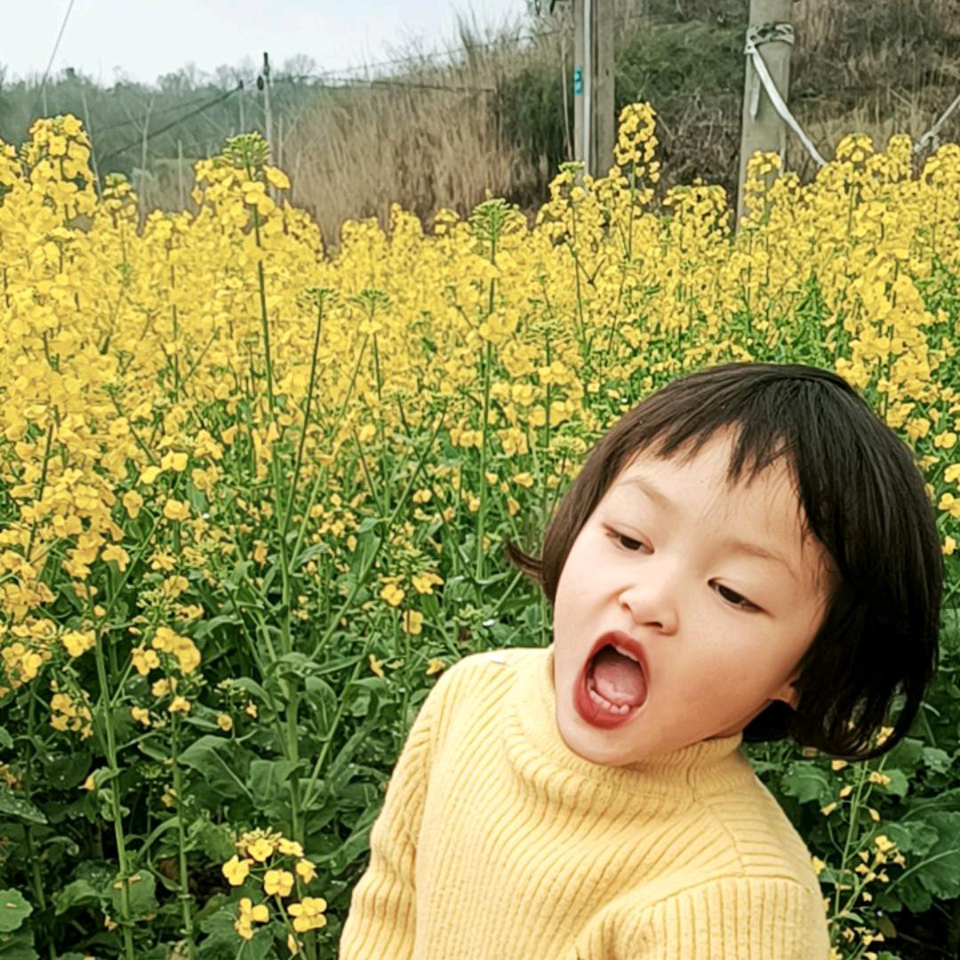 巧金音乐让人开心（零食）