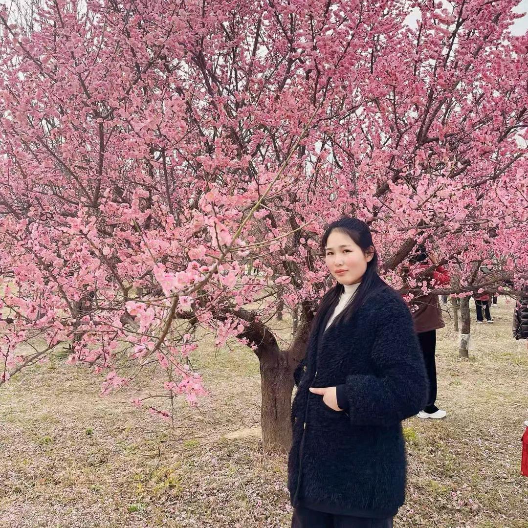 回龙集向坤通讯