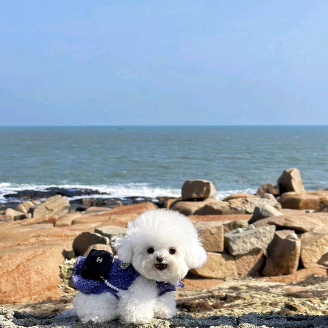 我是方好