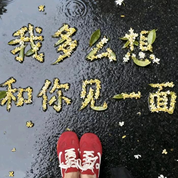 幽幽谷