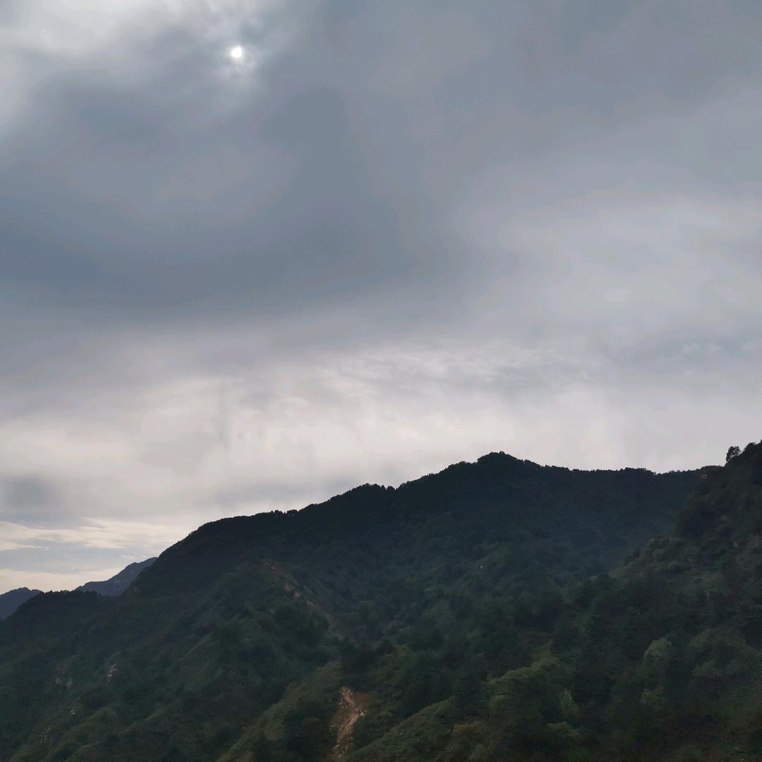 太空牛奶梦