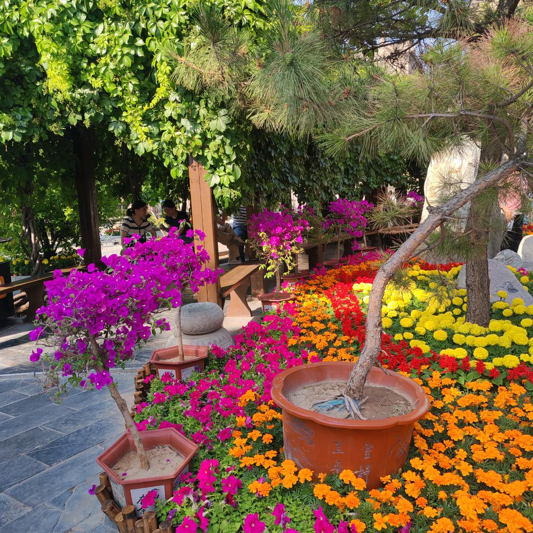 花🌸