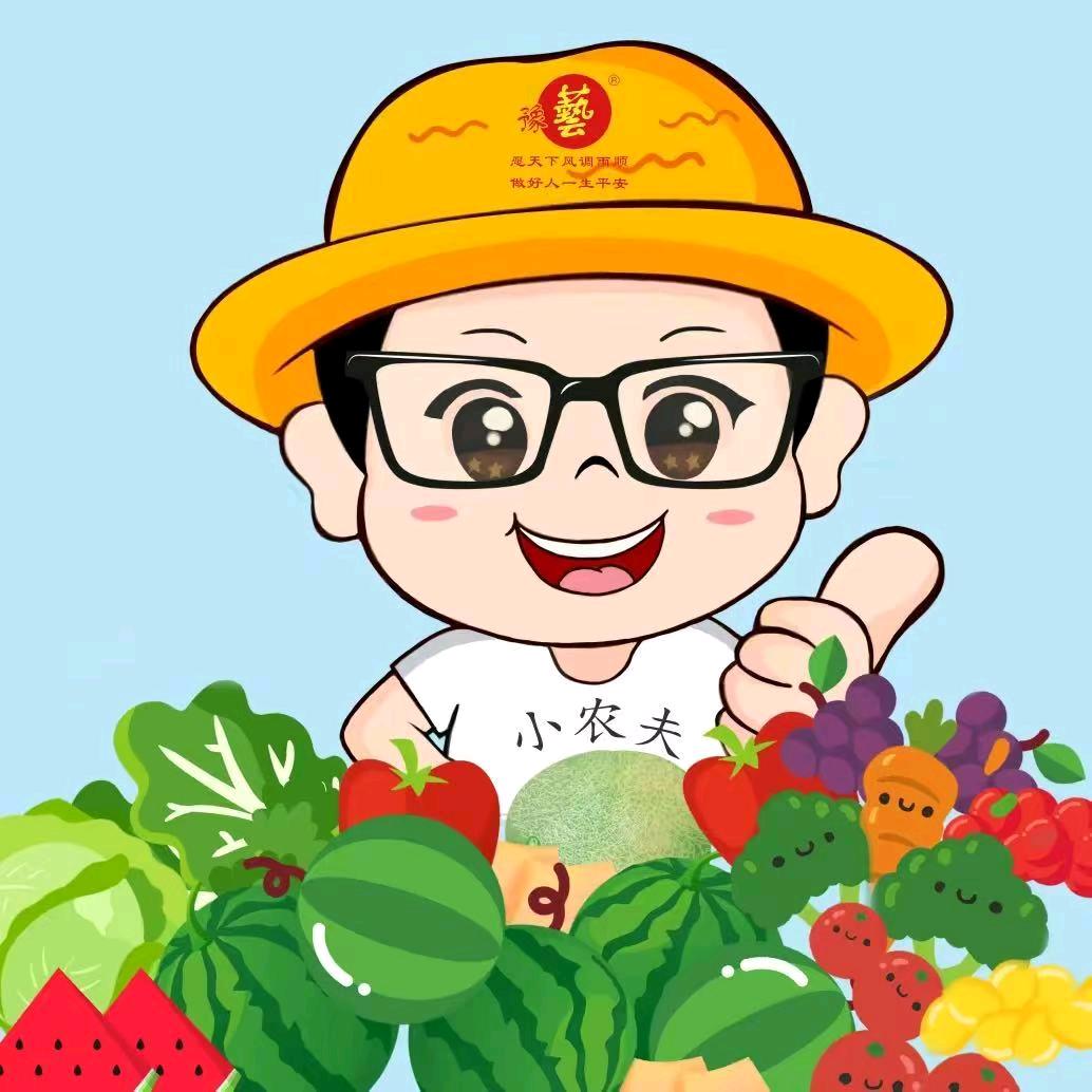 豫艺赵志坤
