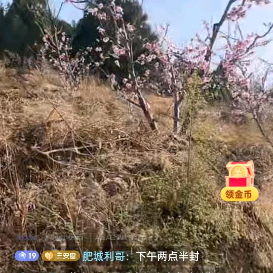 肥城利哥