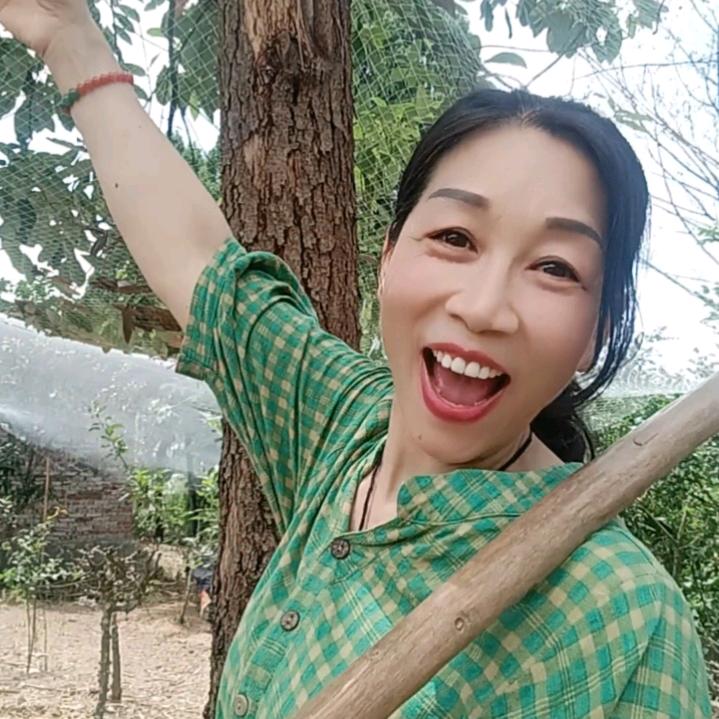 村珊姐