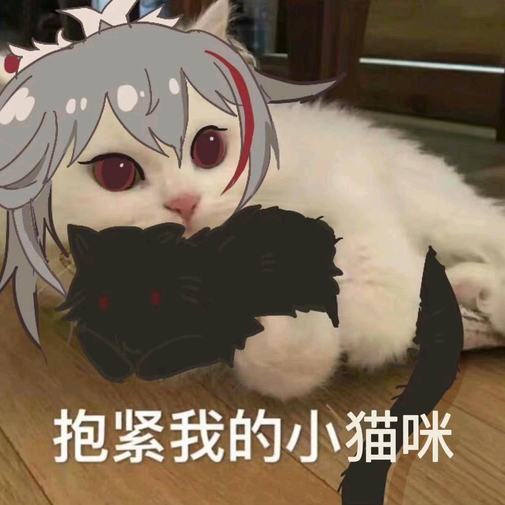 乌尔利克恋爱小说