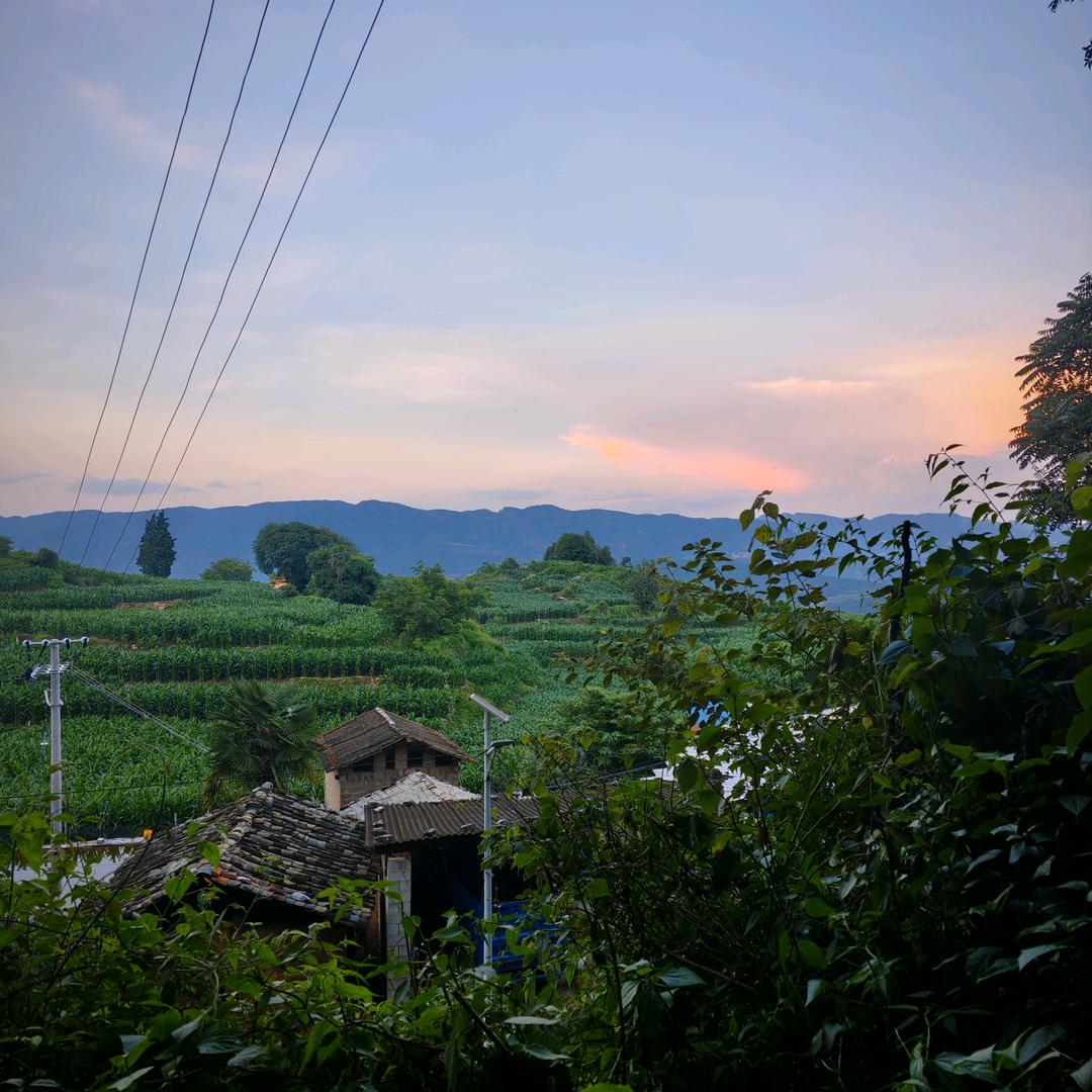 甜过初恋（香香茉莉花版）