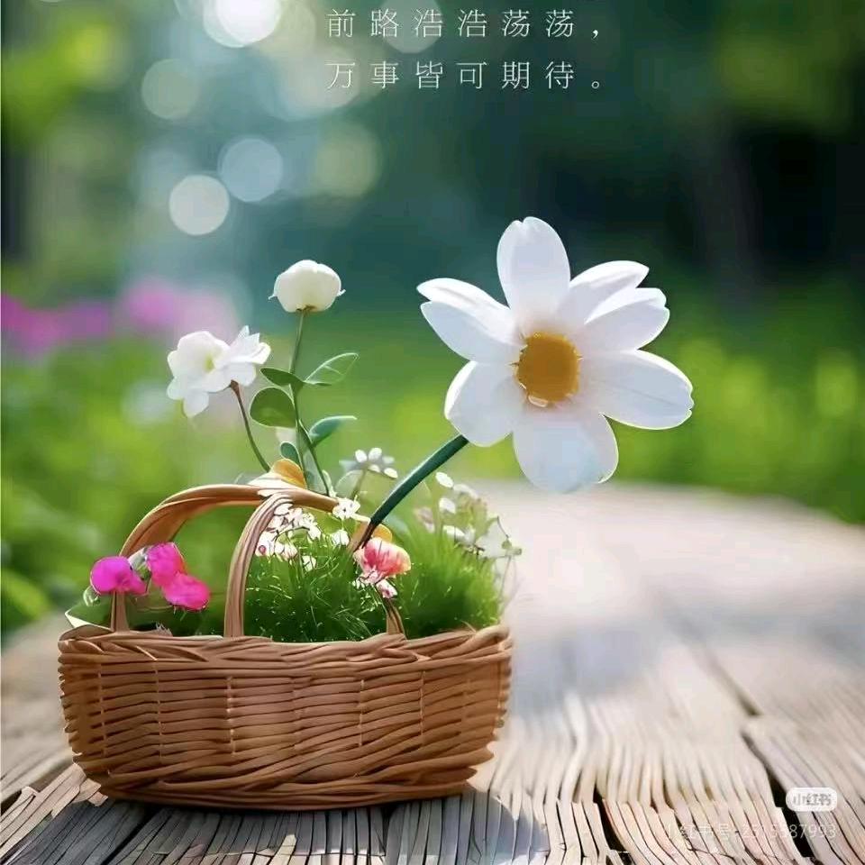 真善美