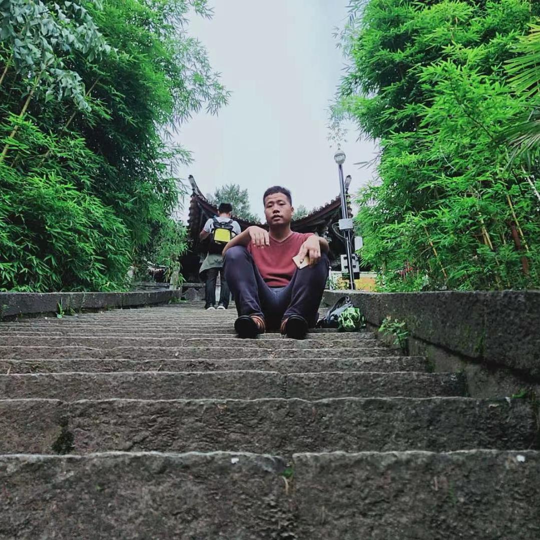 树叶间的风