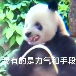 马可波罗你为什么要炸我？