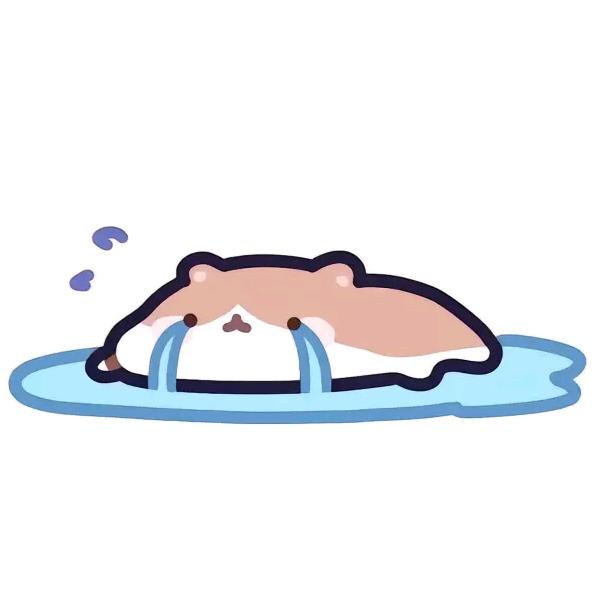 小杨欢乐购