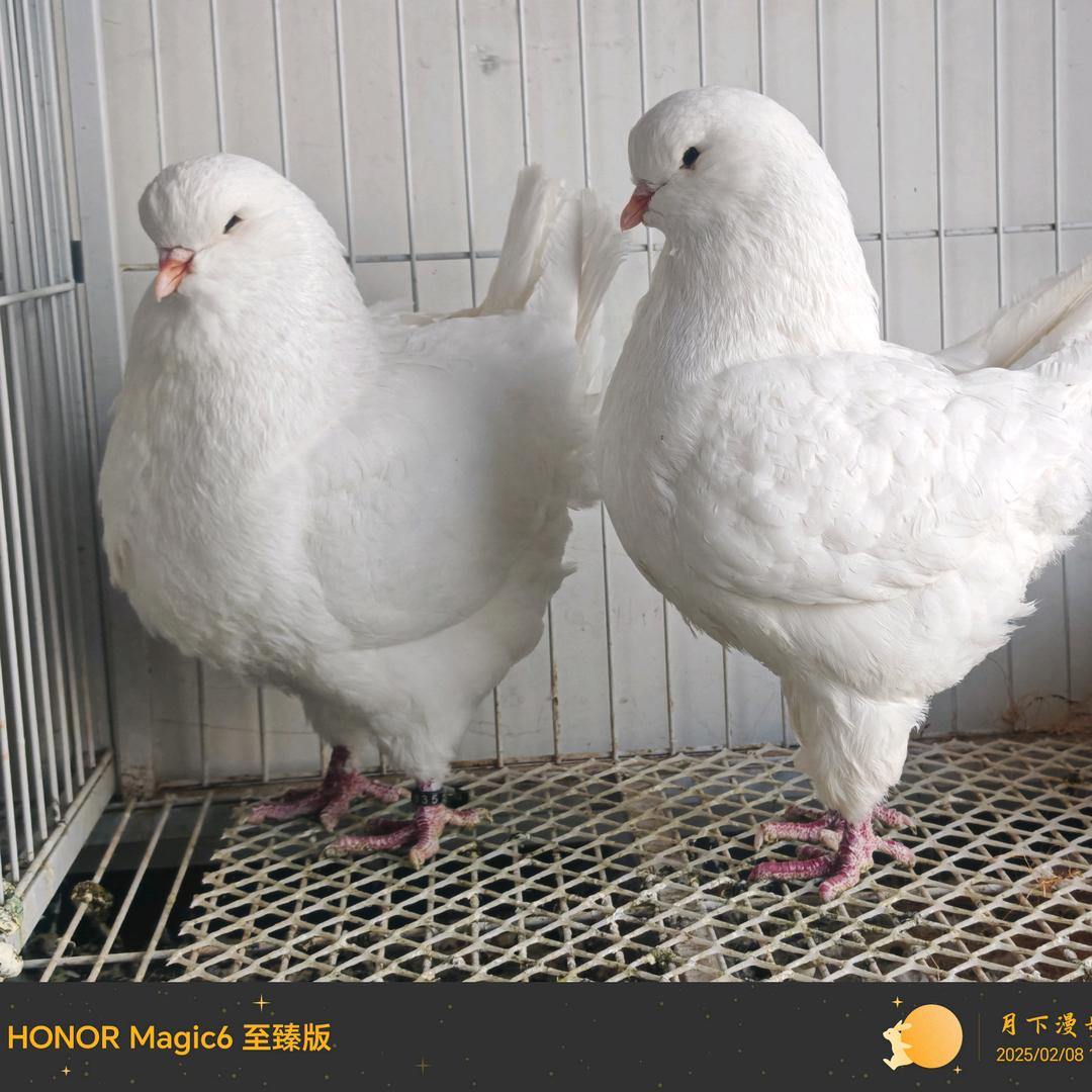 朱事顺意～xu我一生