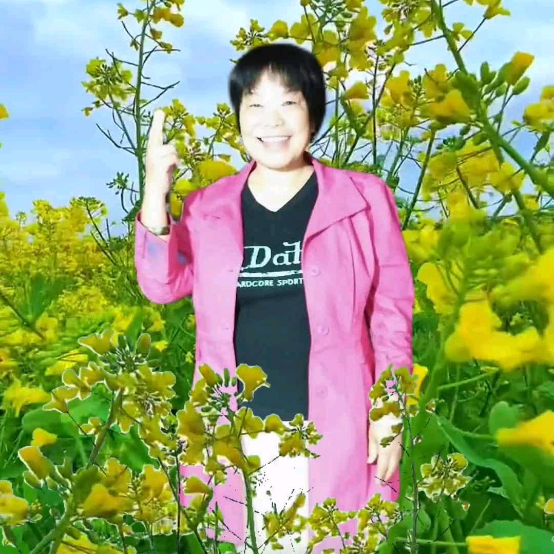凤姐说媒